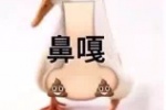 鼻嘎表情包