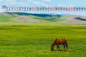 December 2021 green nature scenery desktop calendar wallpaper