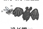 蚊子吸了蝙蝠血没长眼