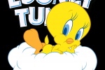 Tweety cartoon mobile wallpaper