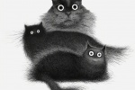 煤炭猫咪可爱手机壁纸