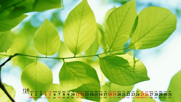 Eye-protecting green leaves HD calendar wallpaper for December 2022