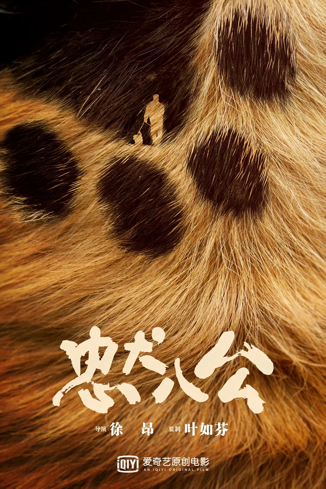 电影《忠犬八公》海报图片