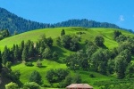 Wechat farm pastoral life style background picture