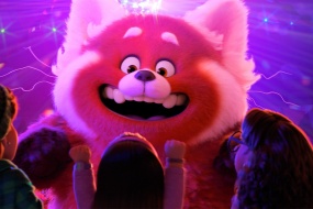 青春变形记红色小熊猫电脑壁纸