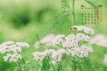 April 2022 small fresh flowers and green leaves calendar wallpaper