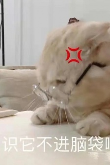 學渣表情包