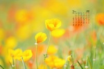 March 2022 small fresh flower caltrop desktop calendar wallpaper