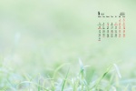 January 2022 Green Nature HD Calendar Wallpaper
