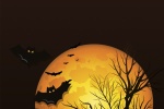 Halloween witch pictures HD mobile wallpaper