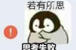 若有所思思考失败