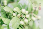 March 2022 small fresh natural scenery calendar wallpaper
