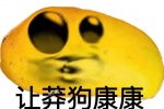 让莽狗康康表情包