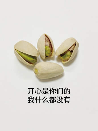 開心果生動表情搞笑手機壁紙