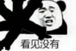 看见没有全是我老婆熊猫头表情包