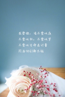 情感文字图文手机壁纸