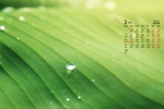 2022年2月綠色植物護眼高清日曆壁紙