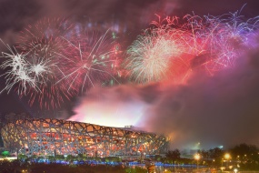 Bird's Nest Fireworks Picture Desktop Wallpaper