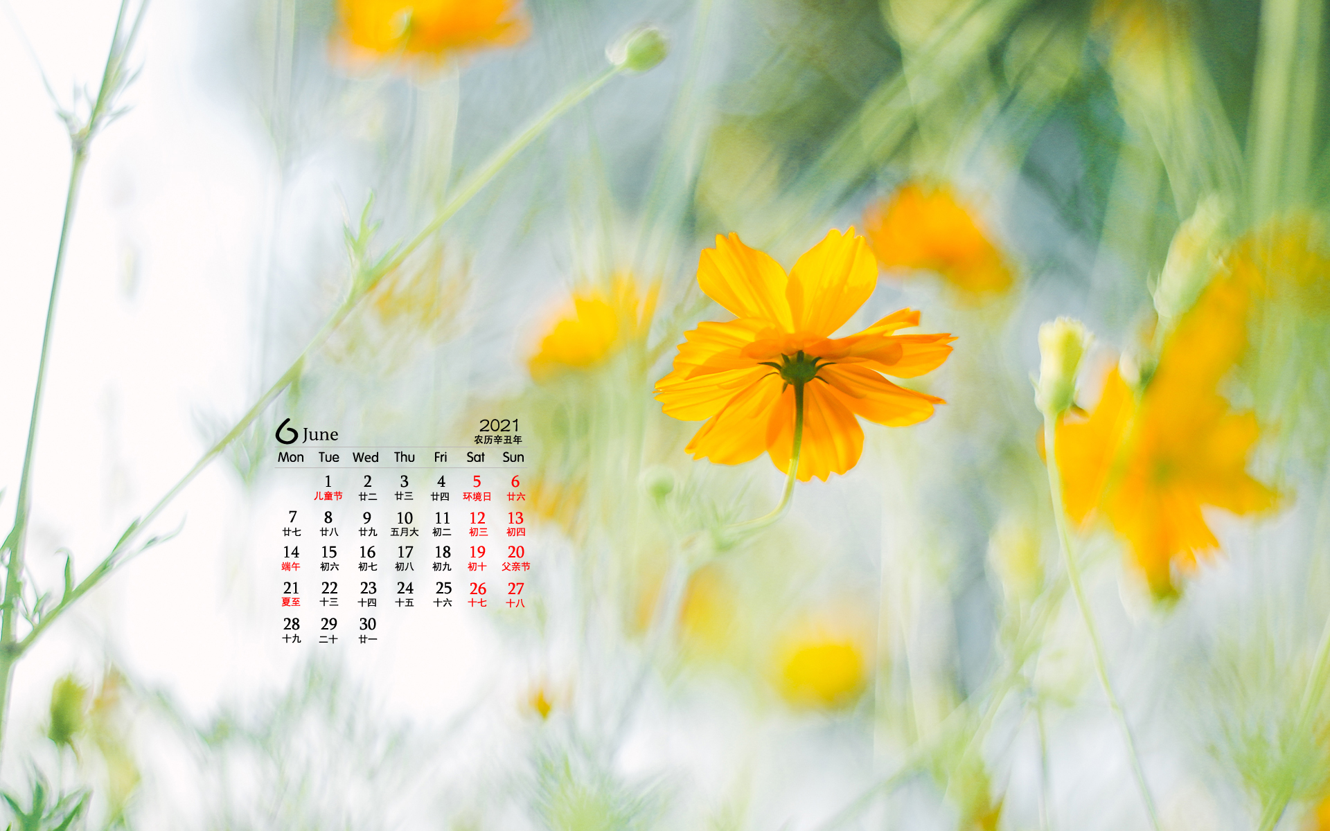 2021年6月黄色小花朵唯美桌面日历壁纸