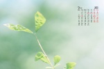 Eye protection HD desktop calendar wallpaper for March 2022