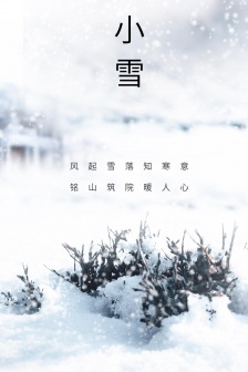 Solar term light snow poster picture mobile wallpaper