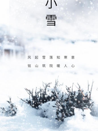 节气小雪海报图片手机壁纸