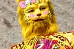 Popular leopard avatar picture selection