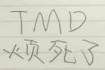 TMD，烦死了