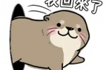 Little otter expression pack