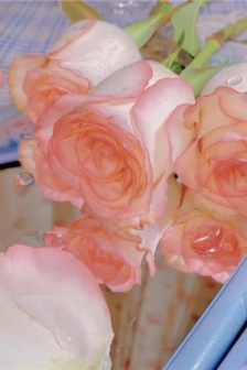Beautiful and gentle background material for circle of friends