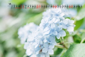 March 2022 small fresh natural scenery calendar wallpaper