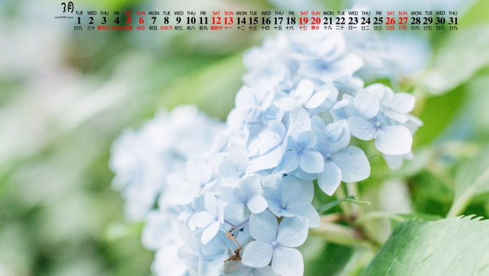 March 2022 small fresh natural scenery calendar wallpaper