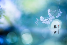 Traditional solar term vernal equinox computer wallpaper