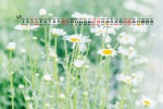 April 2021 small fresh green floral desktop calendar wallpaper