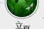24節氣立夏手機壁紙圖片
