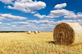 秋天草原上的草垛图片桌面壁纸