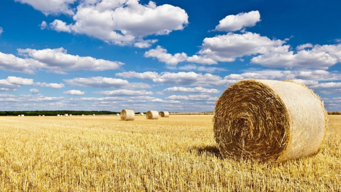 Haystacks on the grassland in autumn pictures desktop wallpaper