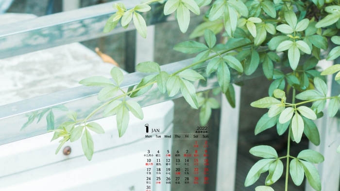 2022年1月绿色主题风景日历壁纸