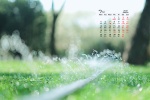 July 2021 summer grass green leaves eye protection desktop calendar wallpaper