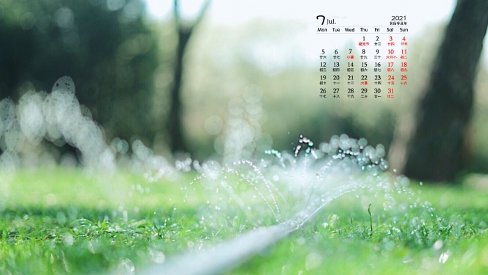 July 2021 summer grass green leaves eye protection desktop calendar wallpaper
