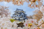 Japanese scenery pictures in April desktop wallpaper