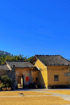 Wechat farm pastoral life style background picture