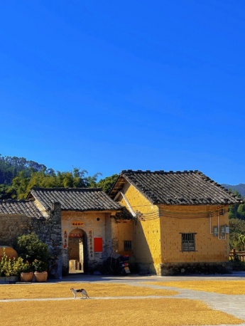 Wechat farm pastoral life style background picture