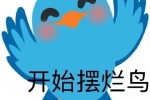 开始摆烂鸟表情包