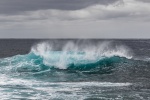 Roaring waves pictures desktop wallpaper