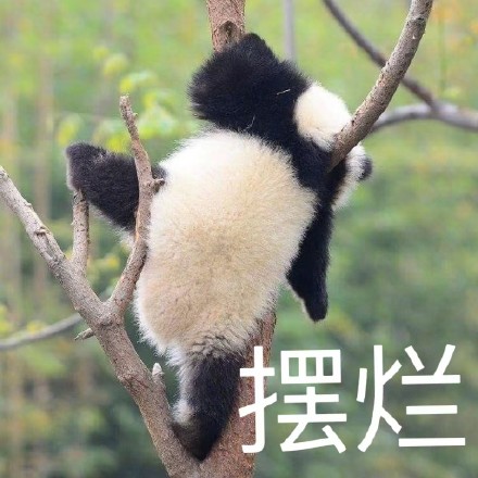熊猫摆烂表情包
