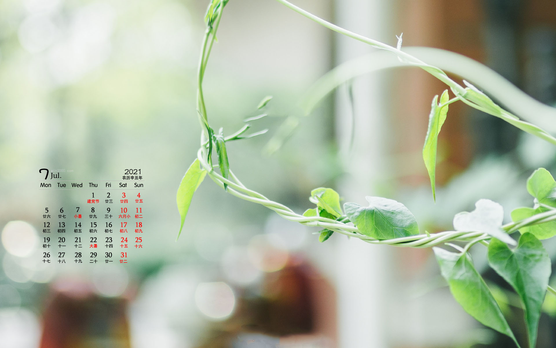 2021年7月小清新绿色花卉桌面日历壁纸
