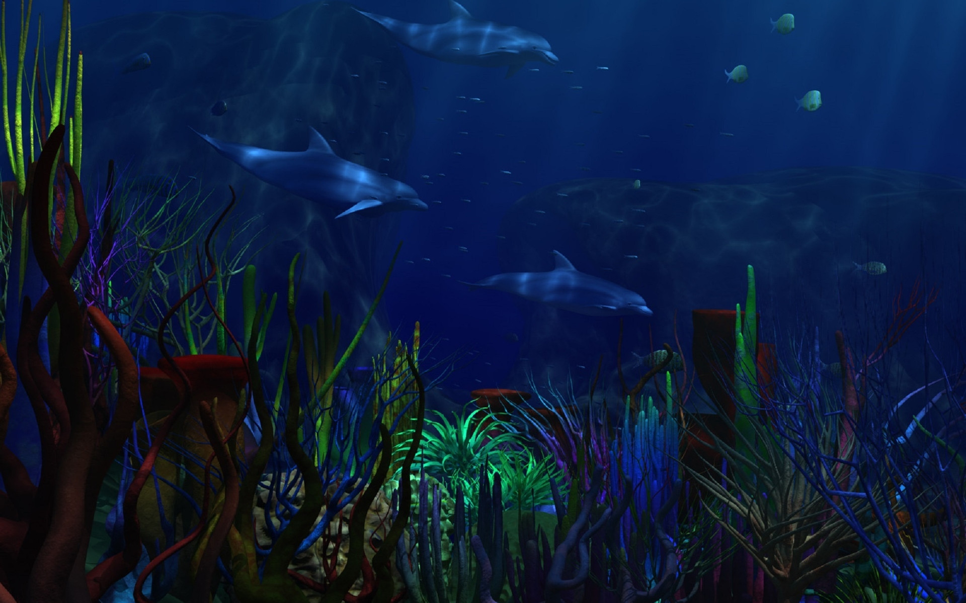 海洋世界水族馆图片桌面壁纸