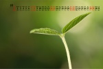 Fresh eye-protecting desktop calendar wallpaper for August 2021