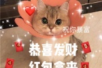 恭喜发财，红包拿来